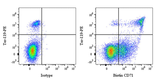 Biotin Rat Anti-Mouse CD71 Antibody (RI7217)