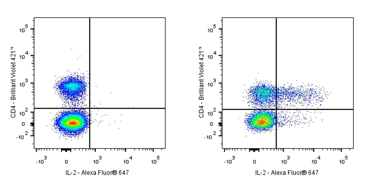 Rabbit Anti-Mouse IL-2 Antibody (S-2117-6)