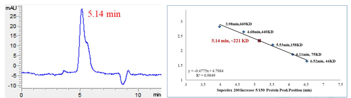 Biotinylated CRBN/DDB1 Protein