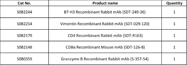 B7-H3, Vimentin, CD8α, CD4, Granzyme B Antibody Panel
