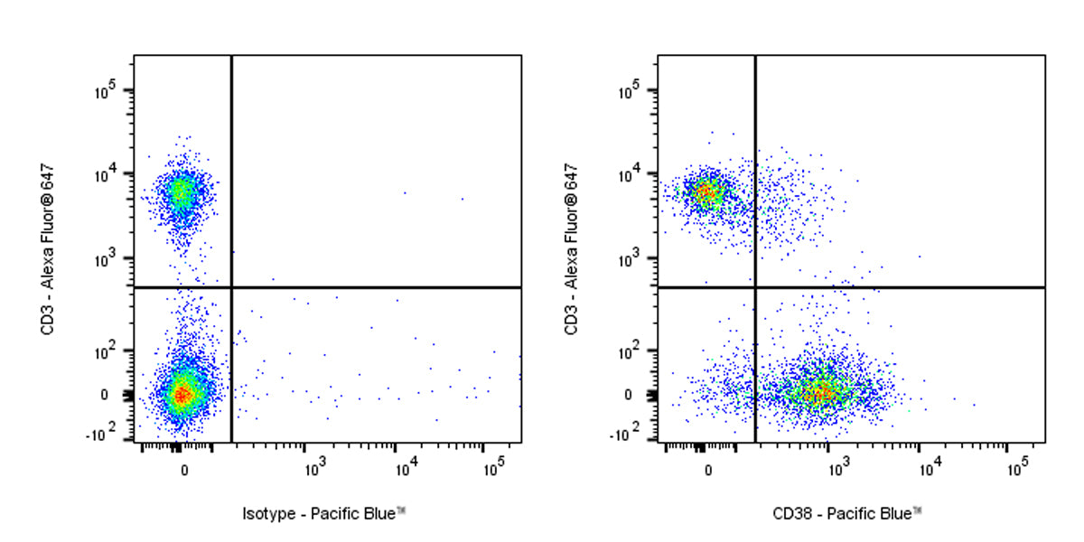 Pacific Blue Rat Anti-Mouse CD38 Antibody (90)
