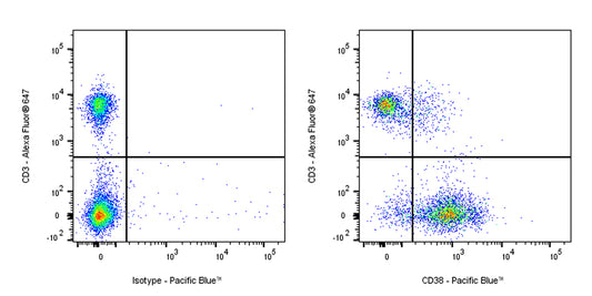 Pacific Blue Rat Anti-Mouse CD38 Antibody (90)