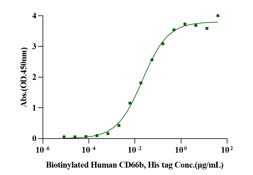 CEACAM-6/CD66c His Tag Protein, Human