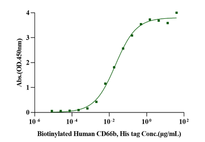 CEACAM-6/CD66c His Tag Protein, Human