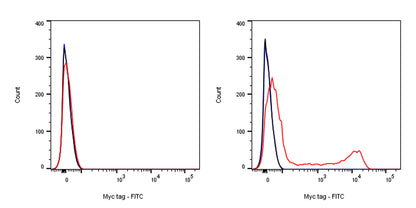 Myc tag Recombinant Rabbit mAb (FITC Conjugate) (S-114-13)