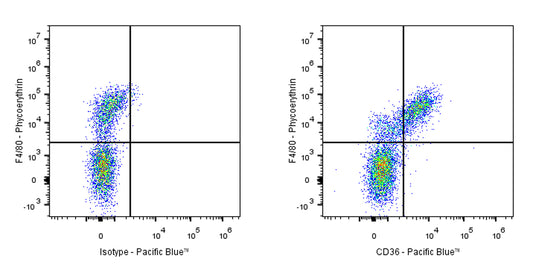 Pacific Blue Armenian hamster Anti-Mouse CD36 Antibody (HM36)