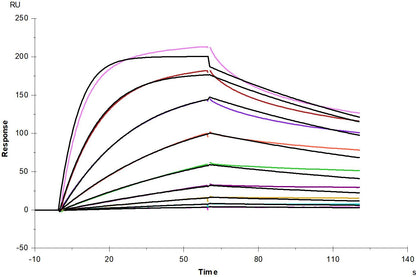 DR3/TNFRSF25 His Tag Protein, Human