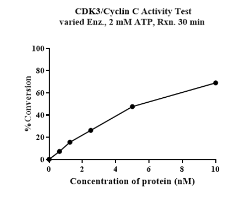 CDK3/Cyclin C Protein, Human