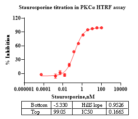 PKCα Protein