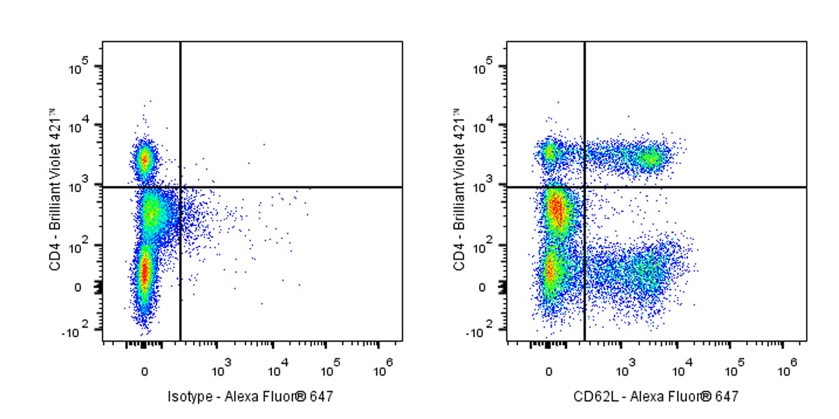 Alexa Fluor® 647 Mouse Anti-Human CD62L Antibody (S-937-77)