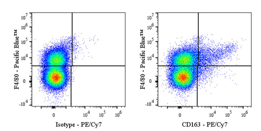 PE-Cy7 Rat Anti-Mouse CD163 Antibody (S-R608)