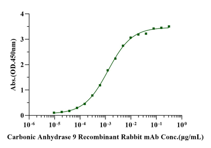 Carbonic Anhydrase IX/CA9 His Tag Protein, Human