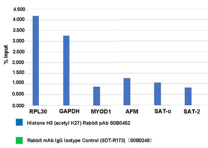 Histone H3 (acetyl K27) Rabbit pAb