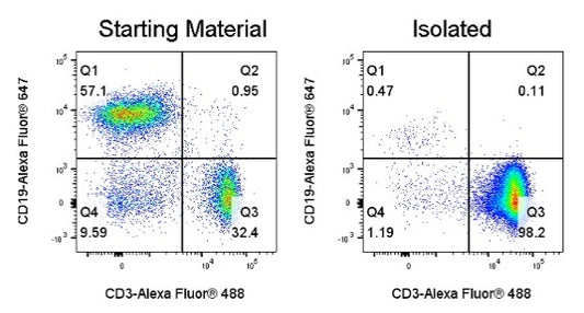 Mouse T Cell Isolation Kit (Column-Based)
