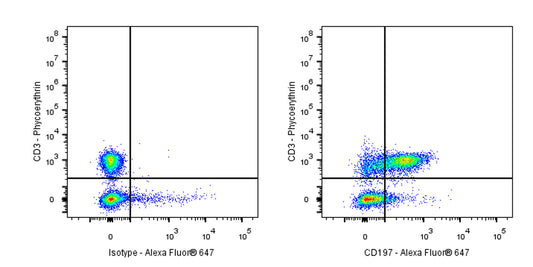 Alexa Fluor® 647 Rat Anti-Mouse CD197 (CCR7) Antibody (4B12)