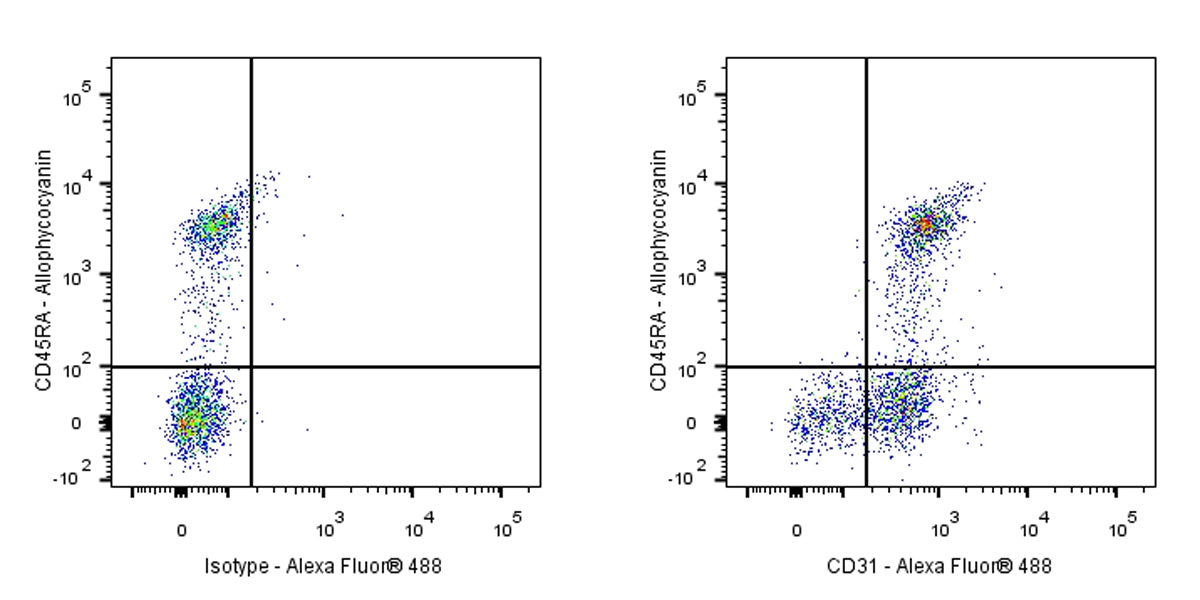 Mouse Anti-Rat CD31 Antibody (TLD-3A12)