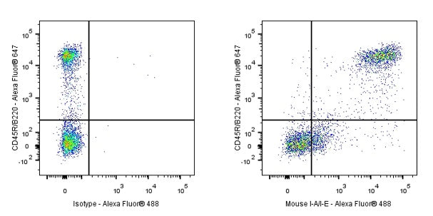 FITC Rat Anti-Mouse I-A/I-E Antibody (M5/114.15.2)