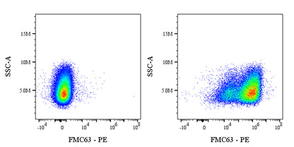 FMC63 Recombinant Rabbit mAb (PE Conjugate) (S-2163-30)