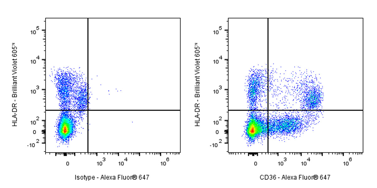 Mouse anti-Human CD36 Antibody (S-R617)
