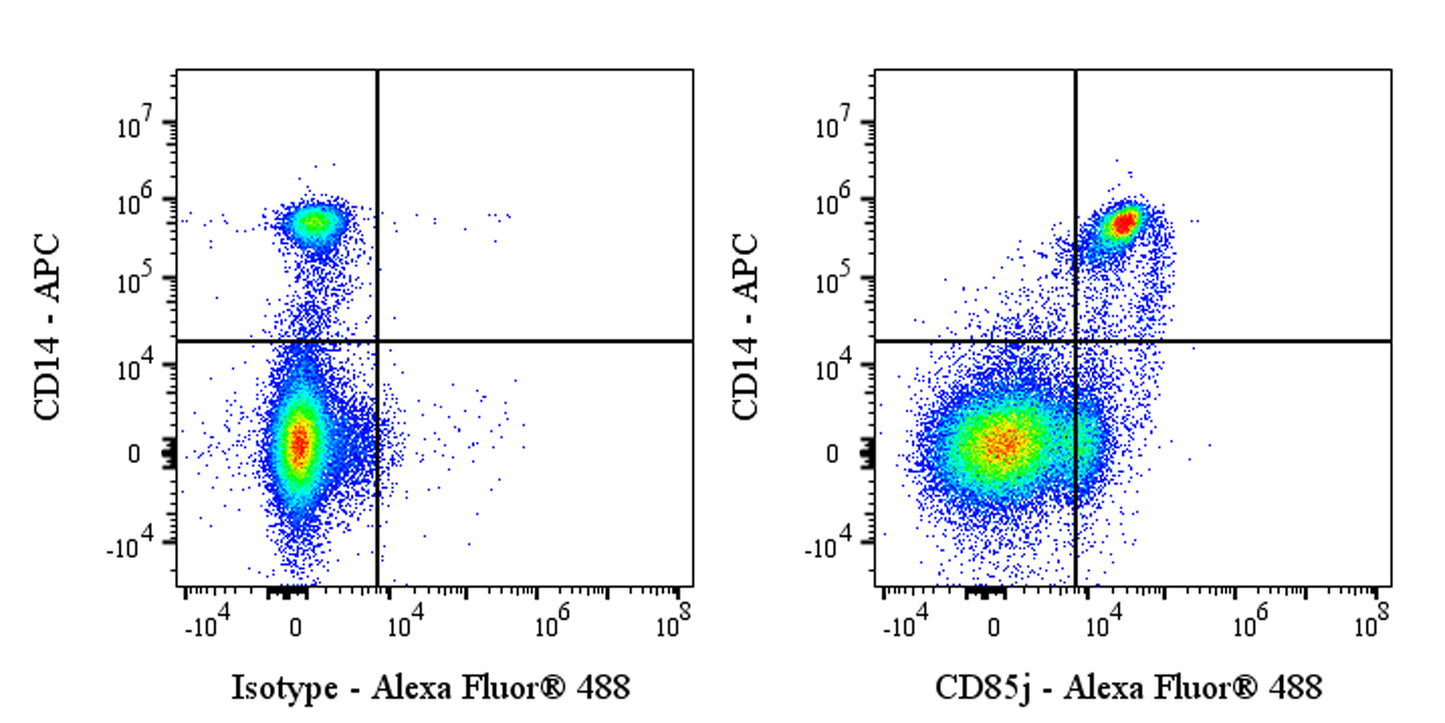 Alexa Fluor® 488 Mouse Anti-Human CD85j Antibody (S-3041)