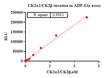 CK2α2/CK2β Protein