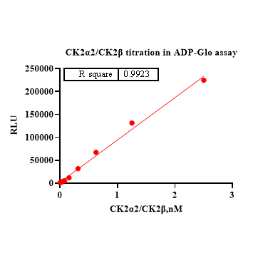 Product image media