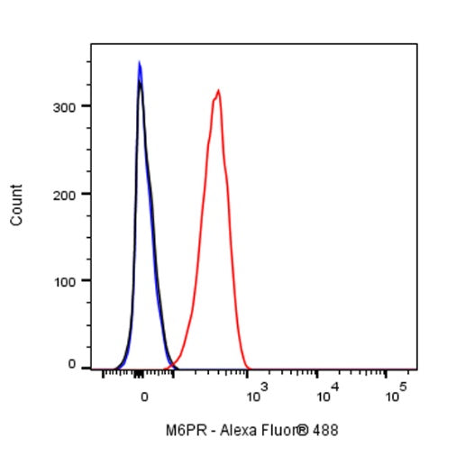 M6PR Recombinant Rabbit mAb (S-1480-21)