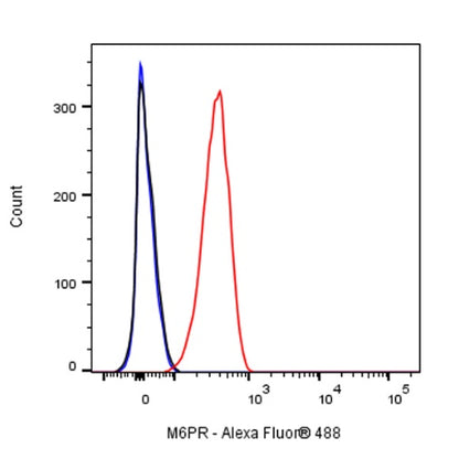 M6PR Recombinant Rabbit mAb (S-1480-21)
