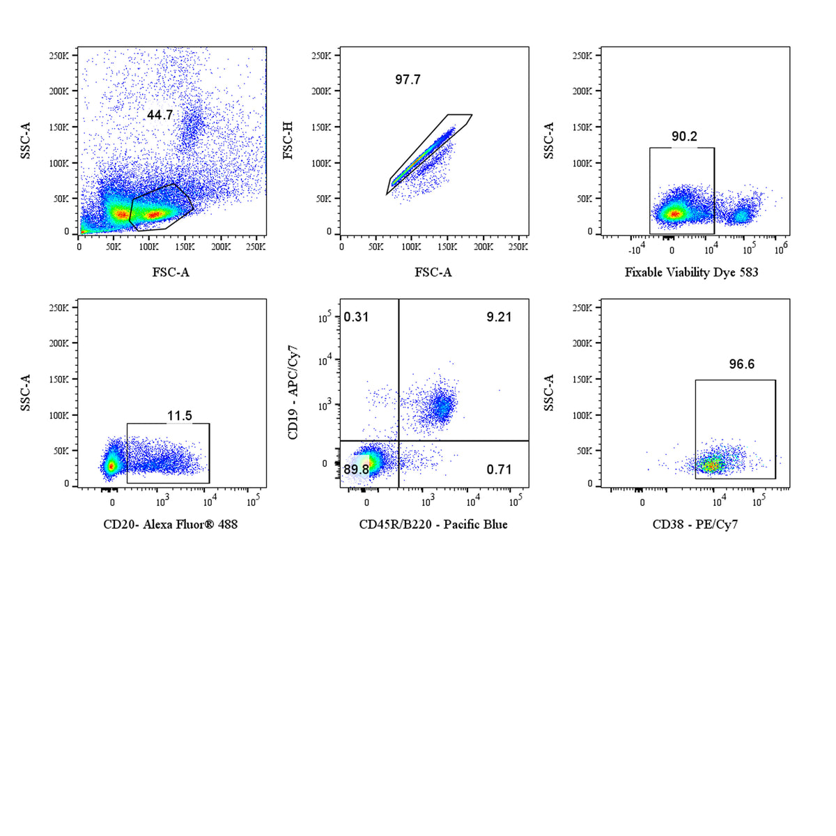 Mouse B Cell Panel Kit (CD19/CD20/CD45R/B220/CD38)