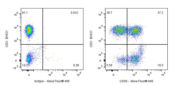 CD58 Recombinant Rabbit mAb (S-1046-14)