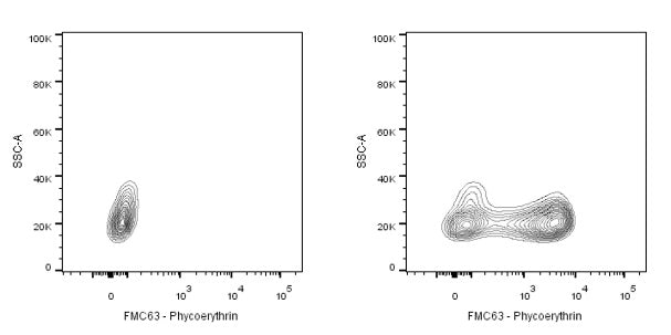 Anti-FMC63 Recombinant Rabbit mAb (PE Conjugate) (S-2163-77)