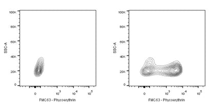 Anti-FMC63 Recombinant Rabbit mAb (PE Conjugate) (S-2163-77)