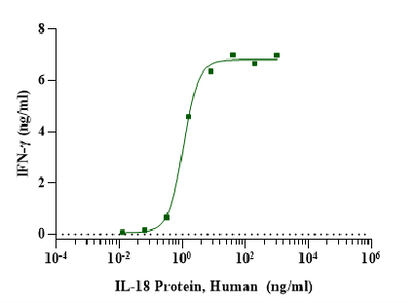 IL-18 Protein, Human