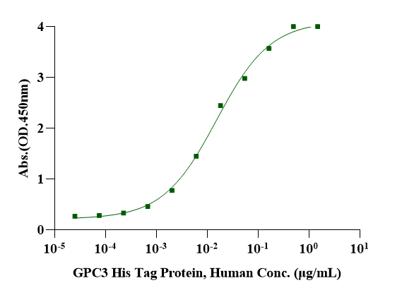 GPC3 His Tag Protein, Human