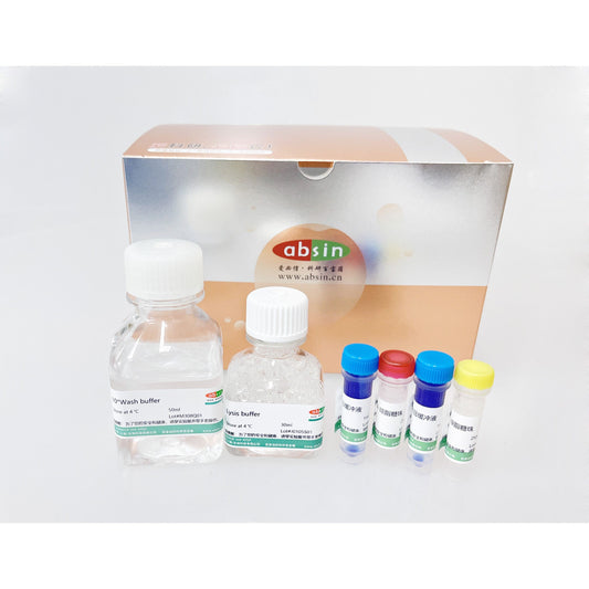 Product image media