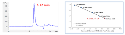 CDK6 Protein