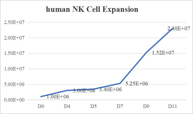 人NK细胞扩增细胞因子套装
