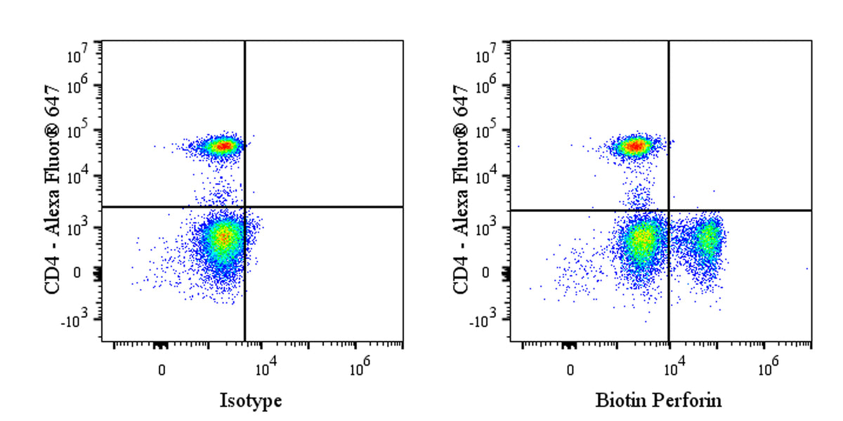 Biotin Mouse Anti-Human Perforin Antibody (S-3064)