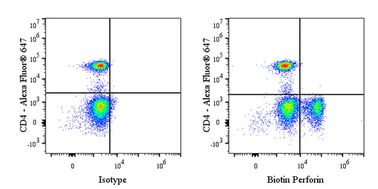 Biotin Mouse Anti-Human Perforin Antibody (S-3064)