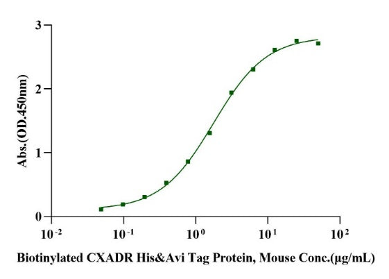 Biotinylated CXADR His & Avi Tag Protein, Mouse