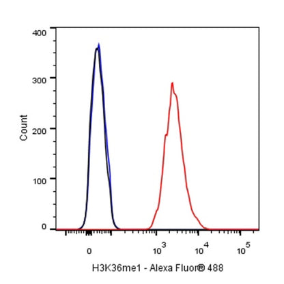 Histone H3 (mono methyl K36) Recombinant Rabbit mAb (S-R396)