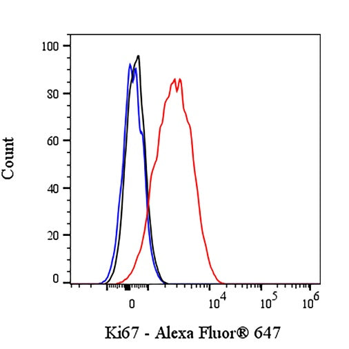 Rat Anti-Mouse Ki67 Antibody (S-R595)