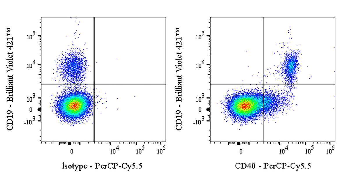 PerCP-Cy5.5 Mouse Anti-Human CD40 Antibody (G28.5)