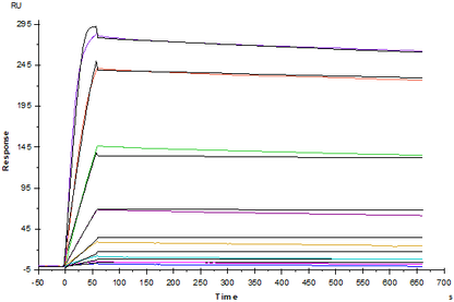 TNF-α Protein, Mouse
