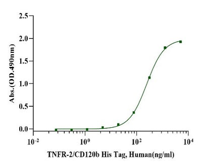TNFR-2/CD120b His Tag Protein, Human