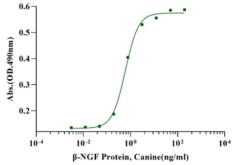 β-NGF Protein, Canine