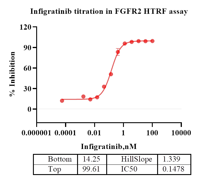 FGFR2 Protein