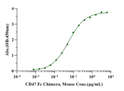 CD47 Fc Chimera Protein, Mouse