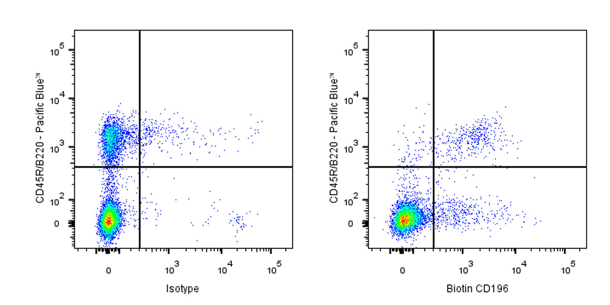 Biotin Armenian hamster Anti-Mouse CD196 Antibody (S-R621)