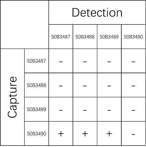 Mouse CXCL1/KC Recombinant mAb (SDT-1856-30-2)